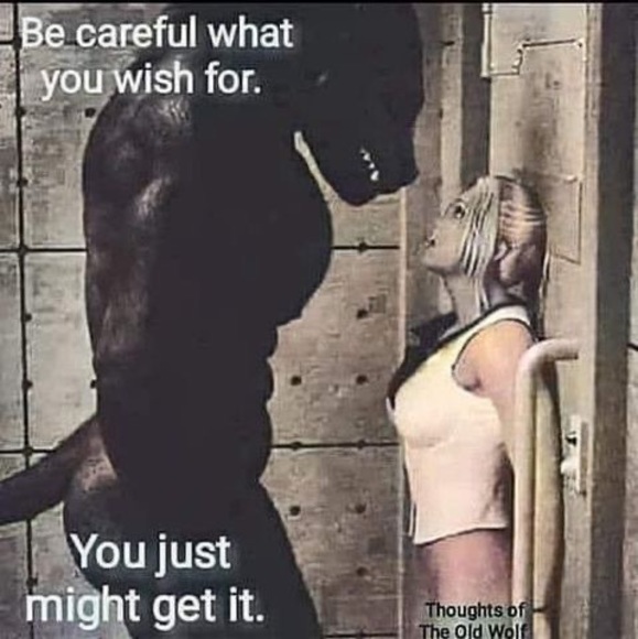 Meet your Posher, Rebel - Picture 1 of 1